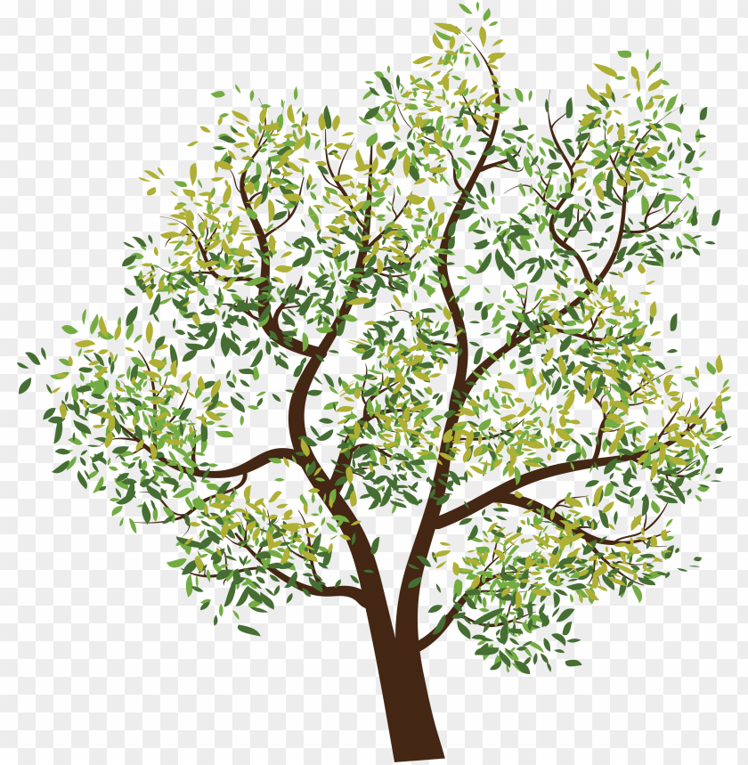 PNG image of tree with a clear background - Image ID 2585