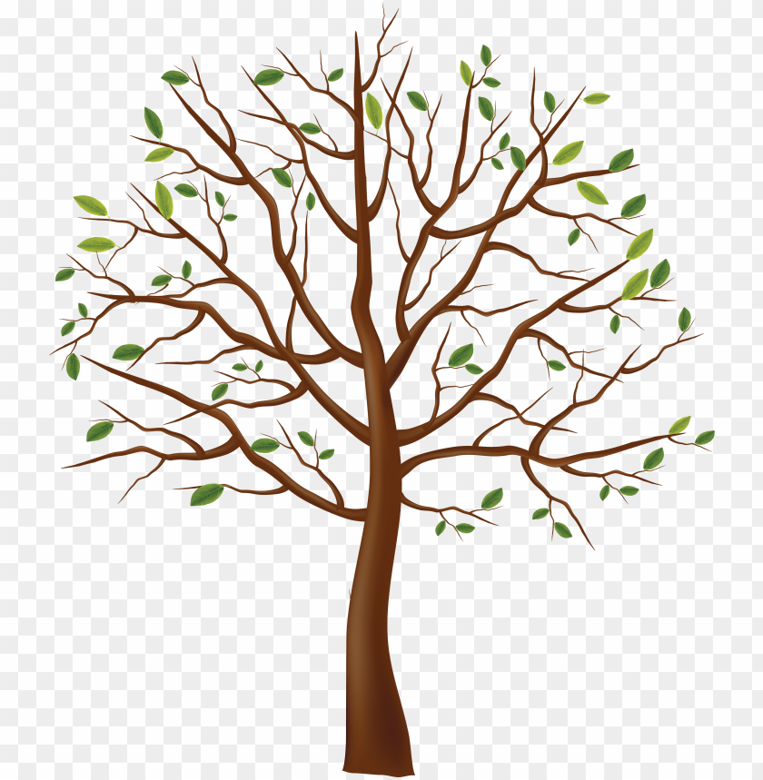 PNG image of tree with a clear background - Image ID 2586