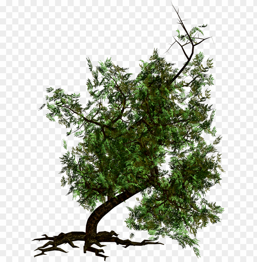 PNG image of tree with a clear background - Image ID 2597