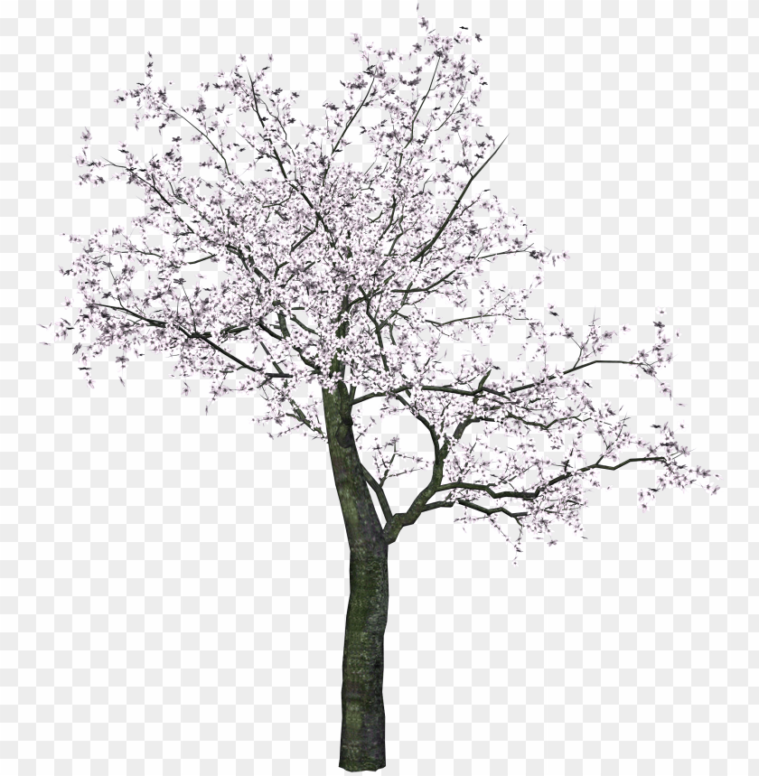 PNG image of tree with a clear background - Image ID 2598