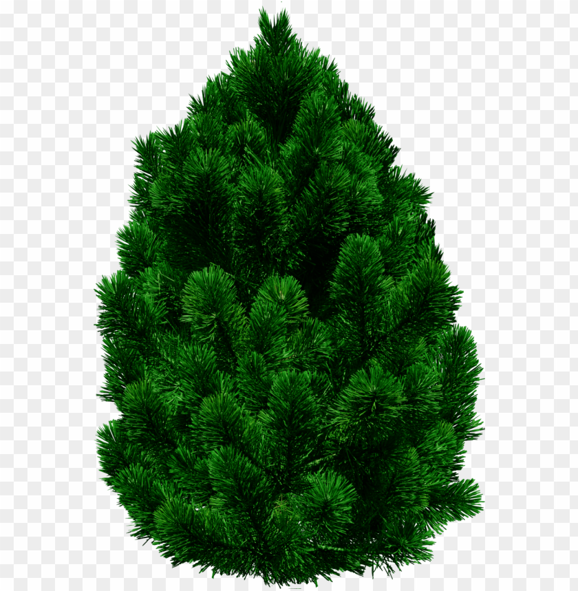 PNG image of tree with a clear background - Image ID 2615