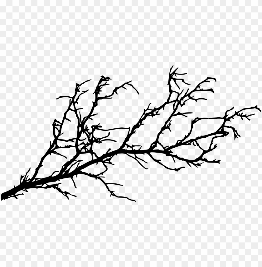 Transparent tree branch PNG Image - ID 4185