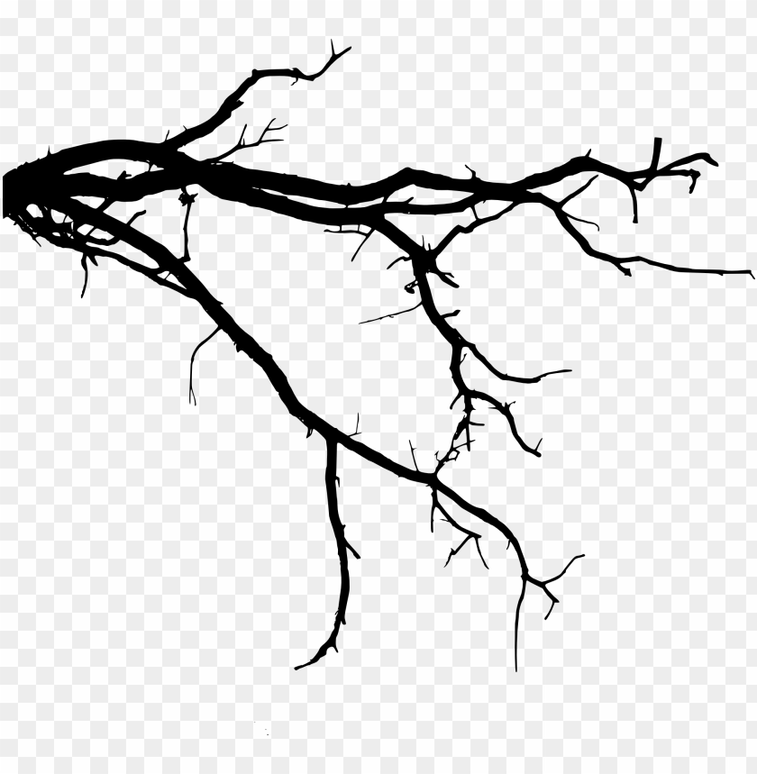Transparent tree branch PNG Image - ID 4187