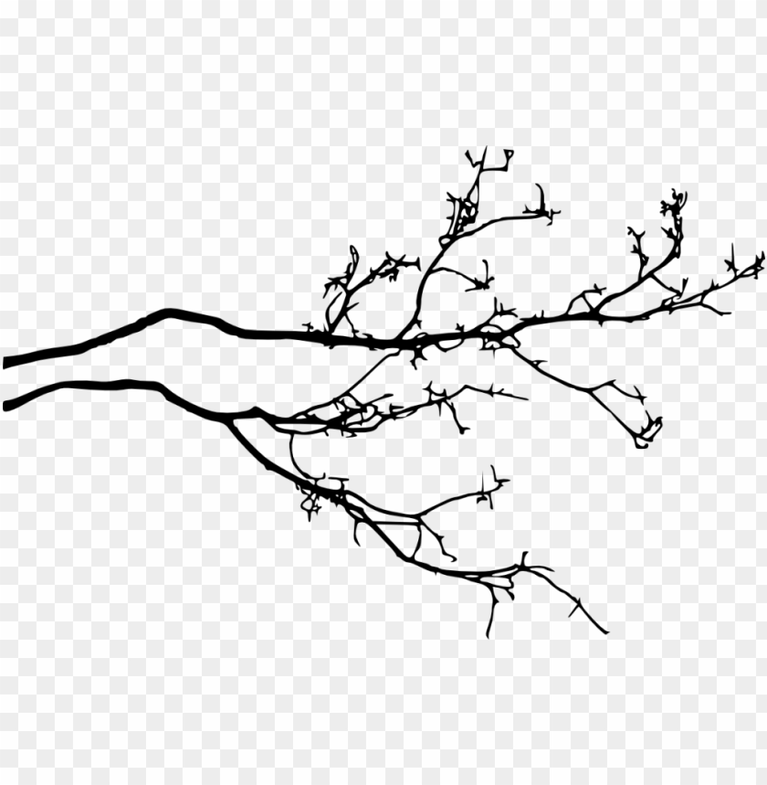 Download Tree Branch Silhouette Png Free Png Images Toppng