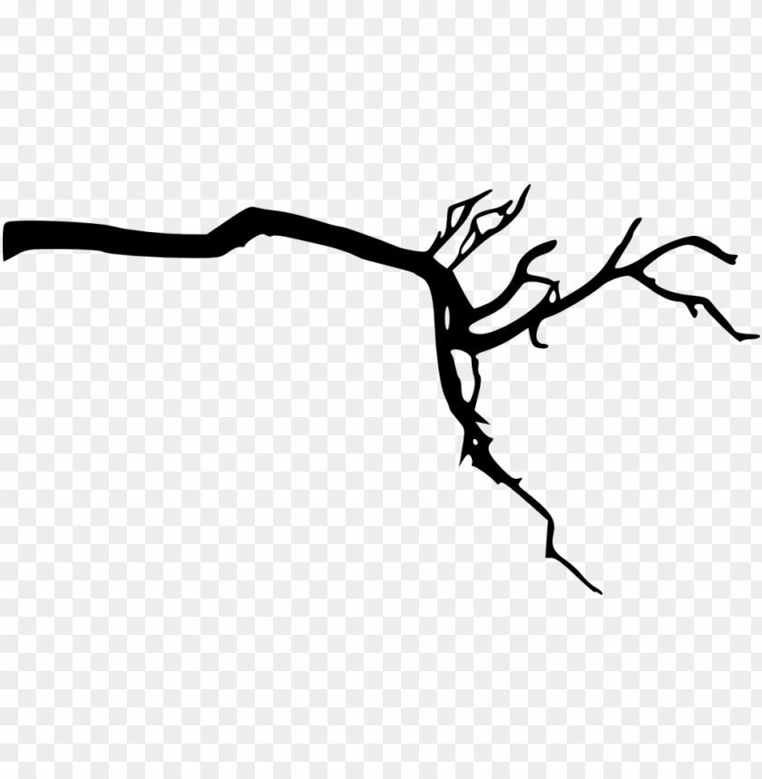 Tree Branch Silhouette Png Free Png Images Toppng