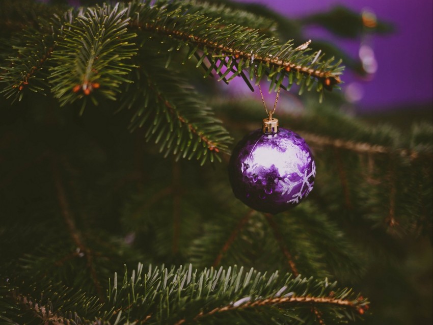 tree, decoration, ball, purple, holiday