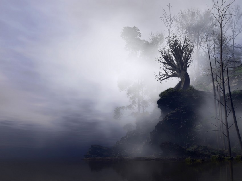 tree, fog, art, rock, cliff, branches, gloomy