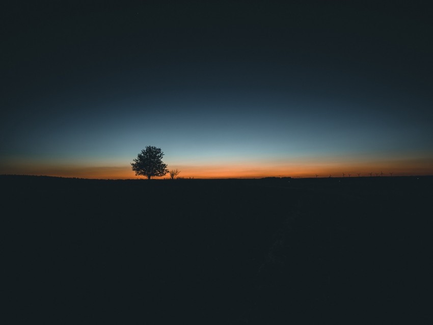 tree, horizon, minimalism, sunset
