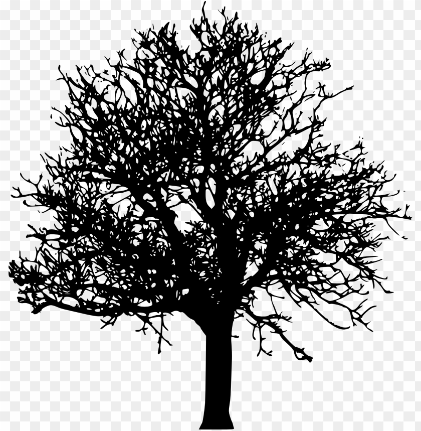 Transparent tree ilhouette PNG Image - ID 4228