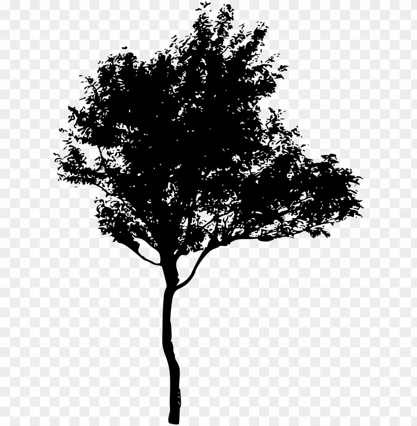 Transparent Tree Ilhouette PNG Image - ID 4230 | TOPpng