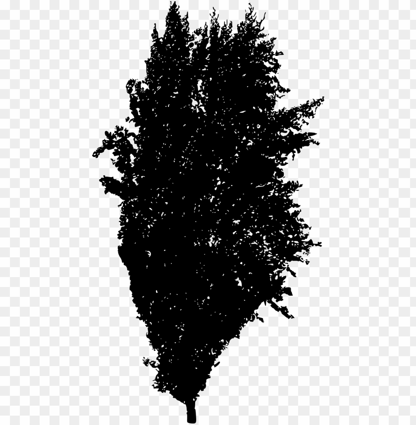 Transparent tree ilhouette PNG Image - ID 4235
