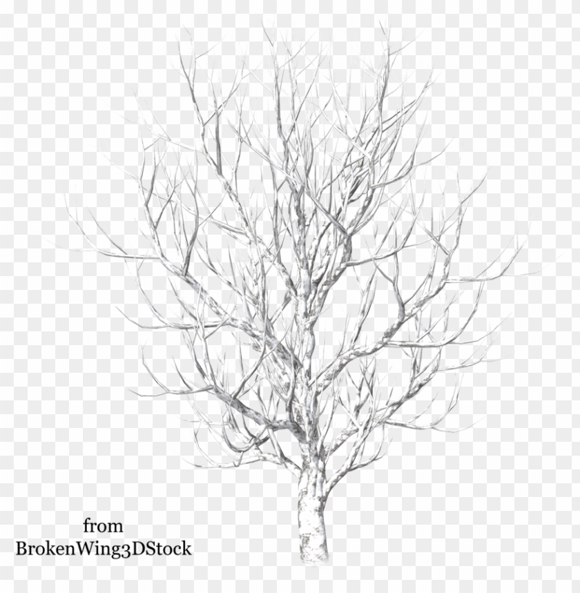 free PNG tree in winter drawing at getdrawings - winter snow tree PNG image with transparent background PNG images transparent