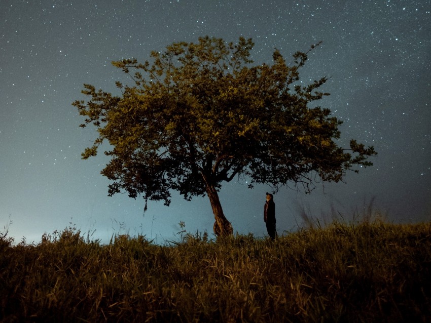 tree, man, night, starry sky, dark