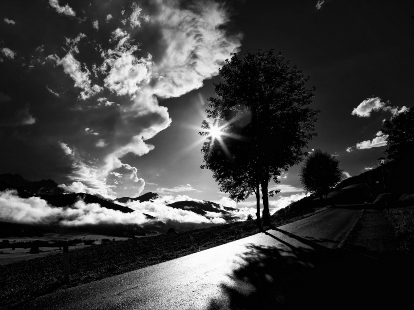 tree, road, bw, sunset, clouds