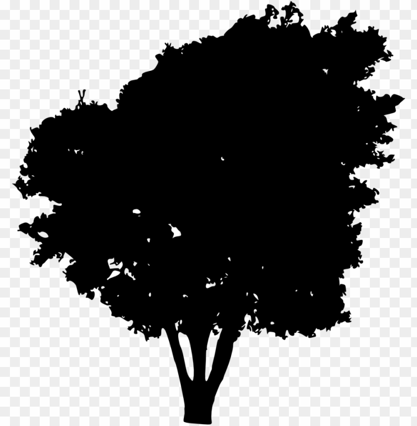 Transparent tree silhouette PNG Image - ID 3342