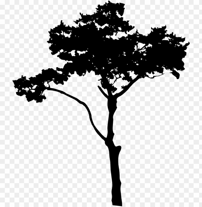 Transparent tree silhouette PNG Image - ID 3345