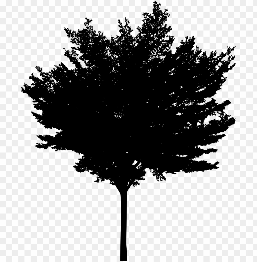 Transparent tree silhouette PNG Image - ID 3344