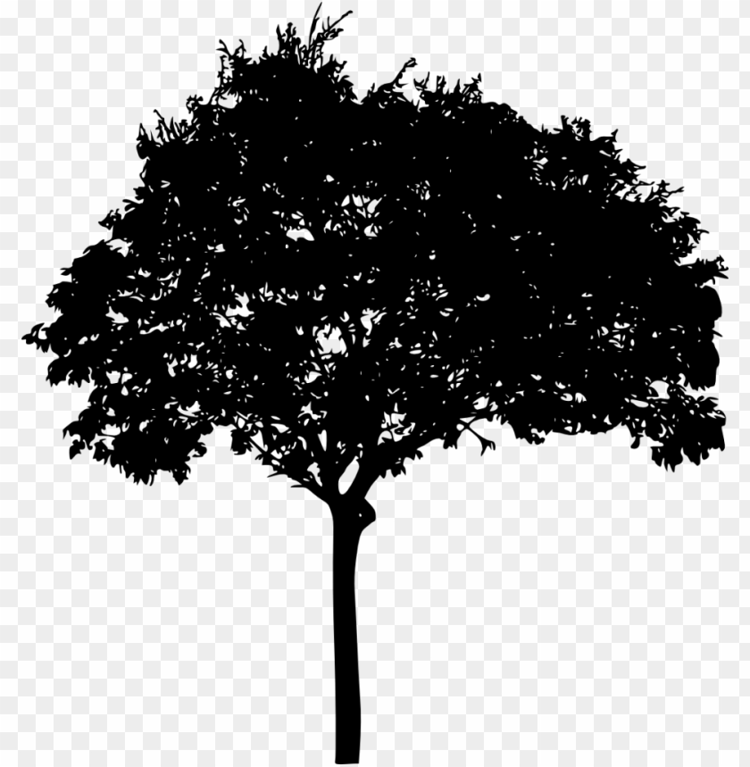 Transparent tree silhouette PNG Image - ID 3346