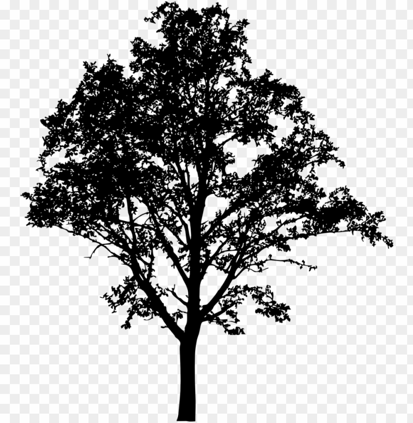 Transparent tree silhouette PNG Image - ID 3349