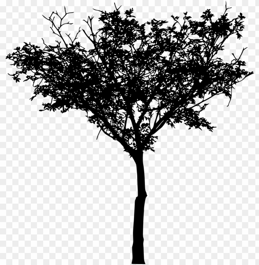 Transparent tree silhouette PNG Image - ID 3350