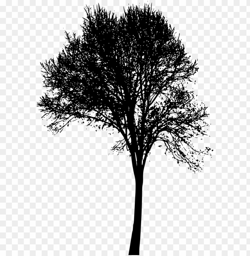 Free download | HD PNG Transparent tree silhouette PNG Image - ID 3534 ...