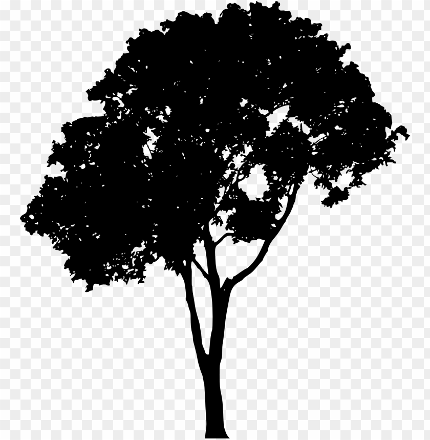 Transparent Tree Silhouette PNG Image - ID 4249 | TOPpng