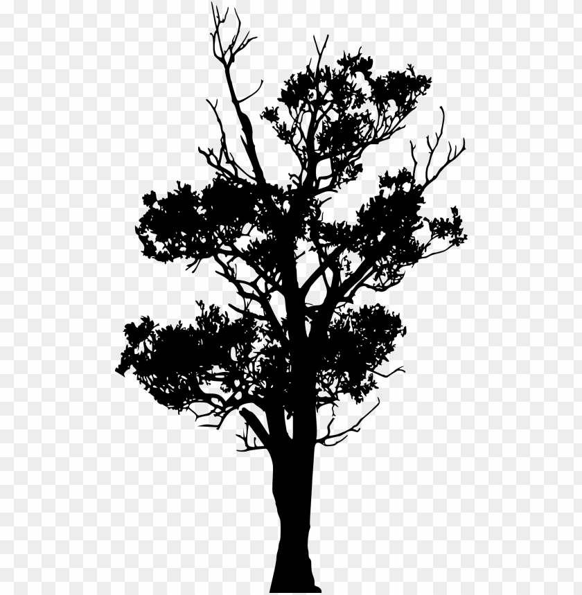 Transparent Tree Silhouette PNG Image - ID 4255 | TOPpng