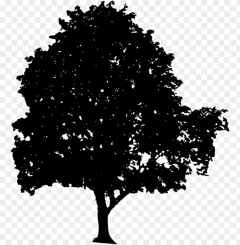 Free download | HD PNG tree silhouette png - Free PNG Images | TOPpng