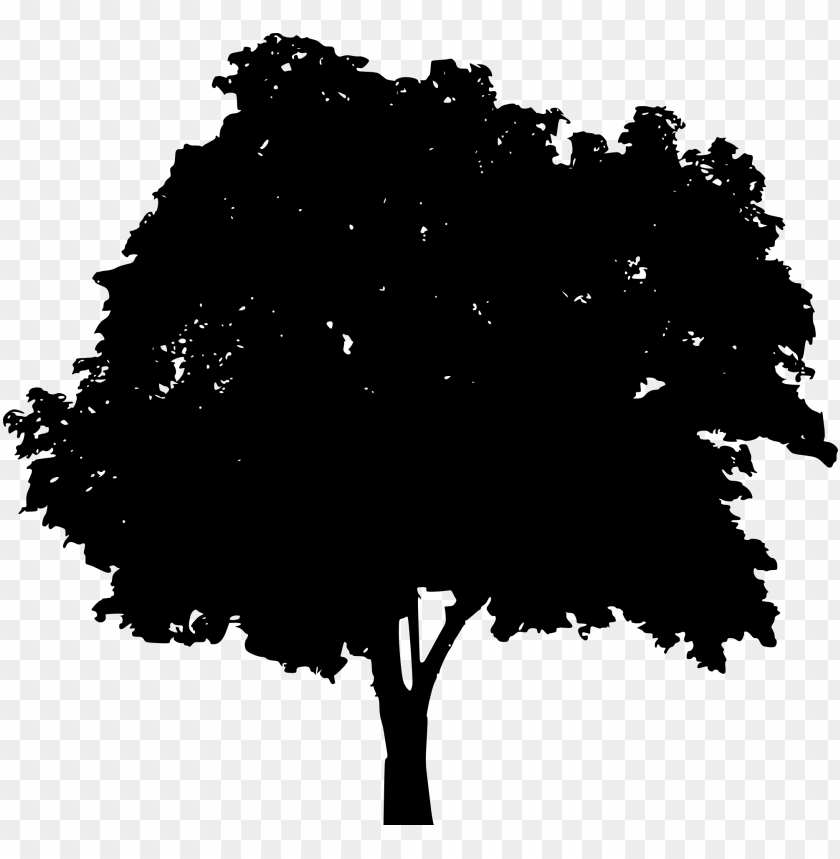 Transparent Tree Silhouette PNG Image - ID 4261 | TOPpng