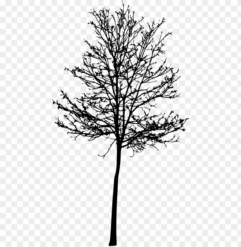 Transparent tree silhouette PNG Image - ID 4262
