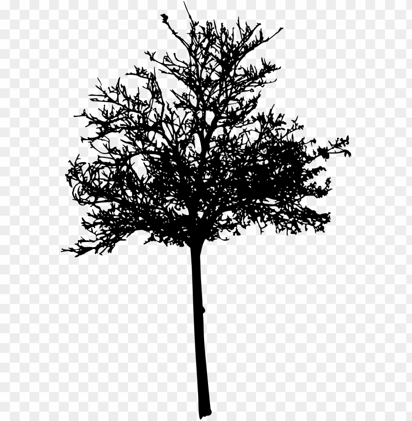 Transparent tree silhouette PNG Image - ID 4264