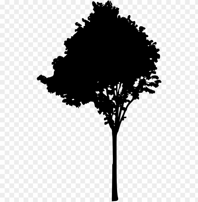 Transparent Tree Silhouette PNG Image - ID 4266 | TOPpng