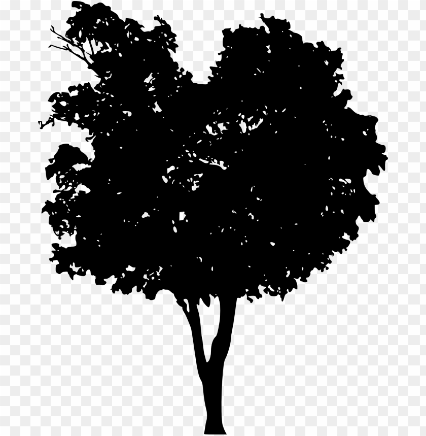 trees, wood, forest, nature,pngtree,treepng,free tree png
