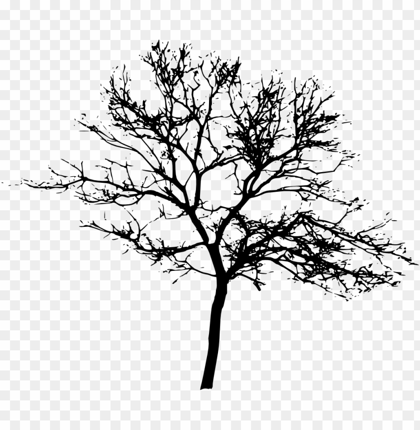 Transparent tree silhouette PNG Image - ID 4335