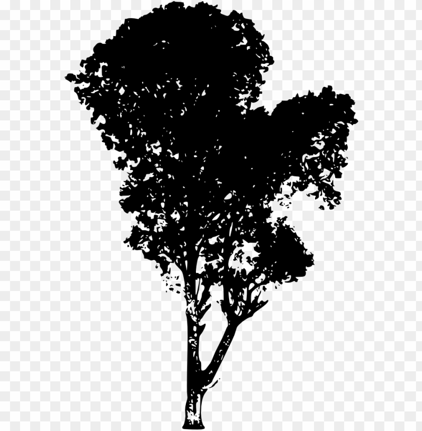 trees, wood, forest, nature,png tree,tree png,free png