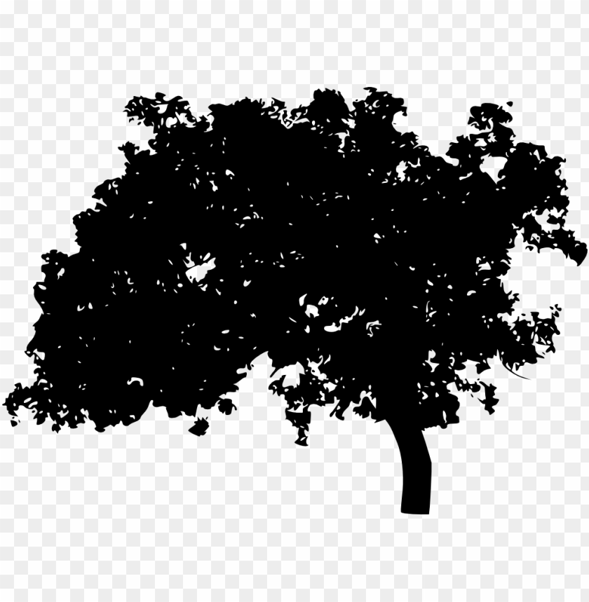 trees, wood, forest, nature,png tree,tree png,free png