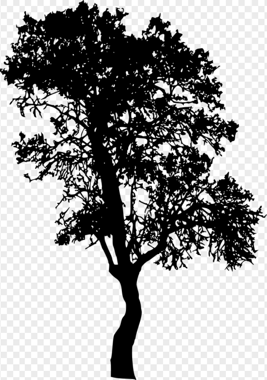 Tree, Silhouette, Nature, Landscape, Environment