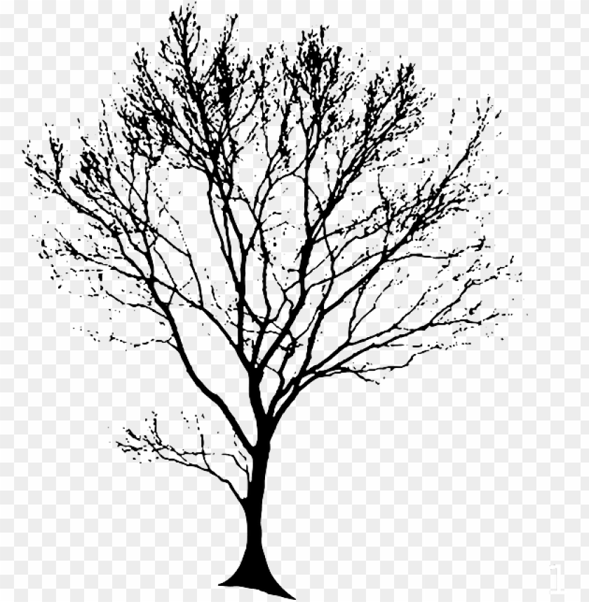 Download Tree Silhouette Black Oak Tree Line Art Png Image With Transparent Background Toppng
