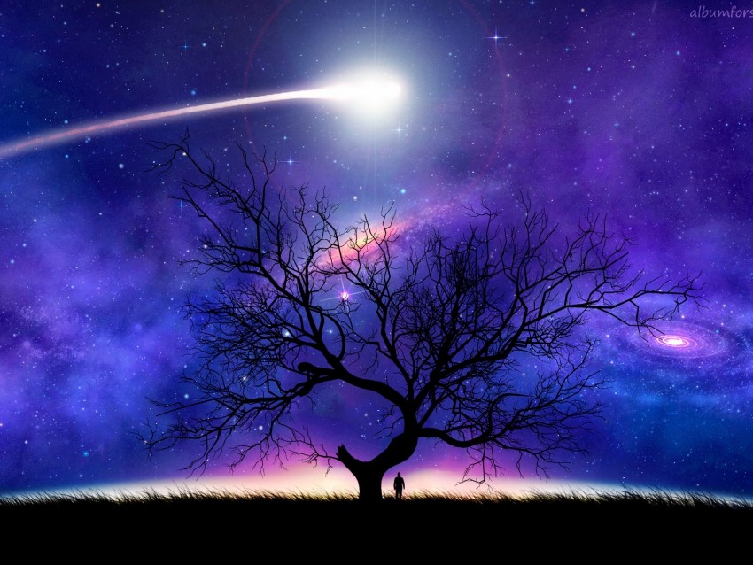 tree, silhouette, space, night, starry sky, comet
