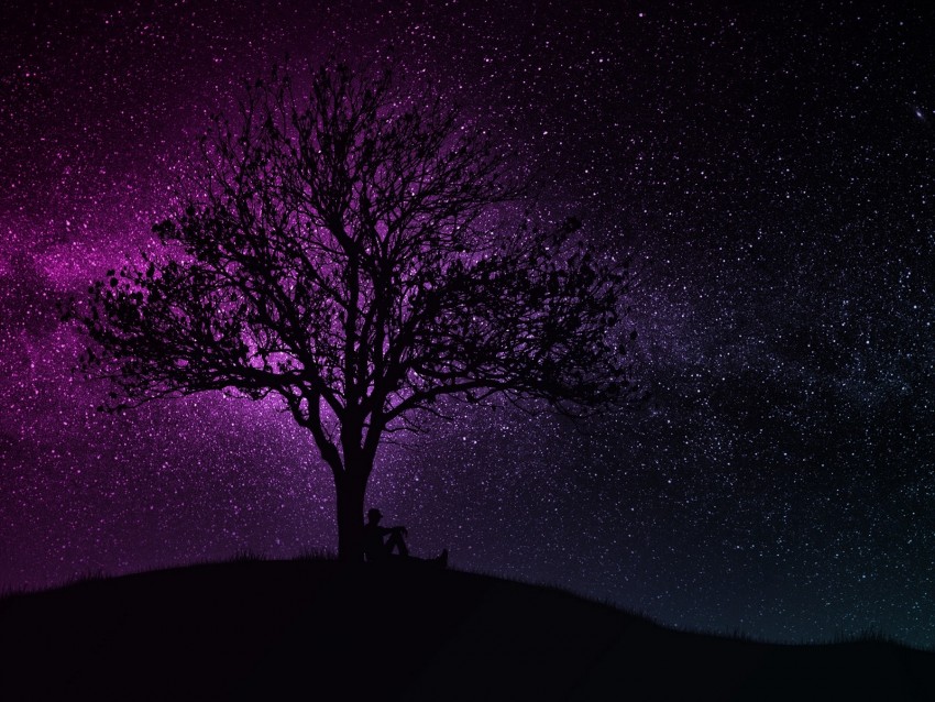 tree, silhouette, starry sky, dark, art