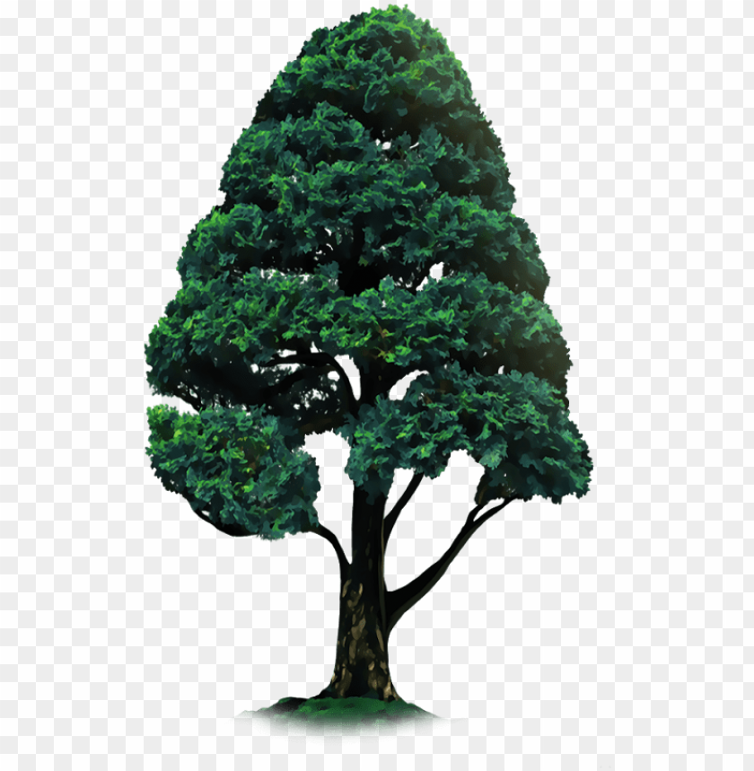 tree sticker for picsart PNG image with transparent background | TOPpng