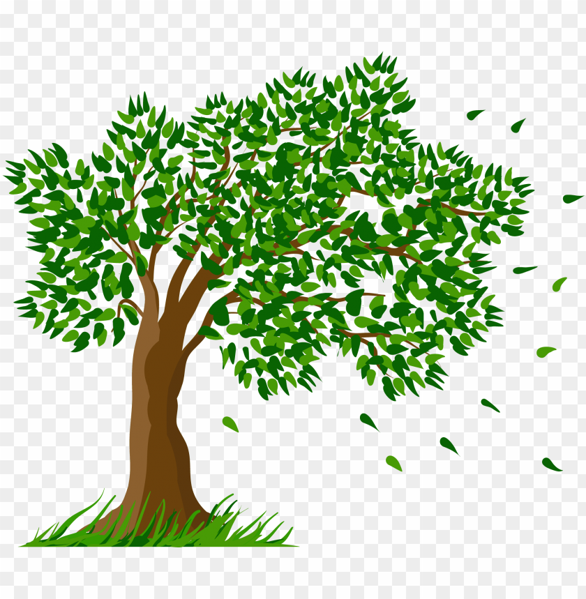 Tree Transparent Clipart Picture - Transparent Background Tree Clipart PNG Transparent With Clear Background ID 217823