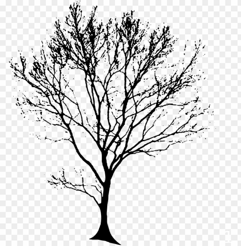 Hand-Drawn Trees - Free Download – Studio Alternativi