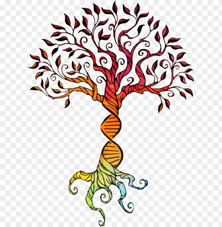 Download Treeoflife Watercolor Rainbow Dna Brelfie Rainbowbaby Simple Oak Tree Drawi Png Image With Transparent Background Toppng