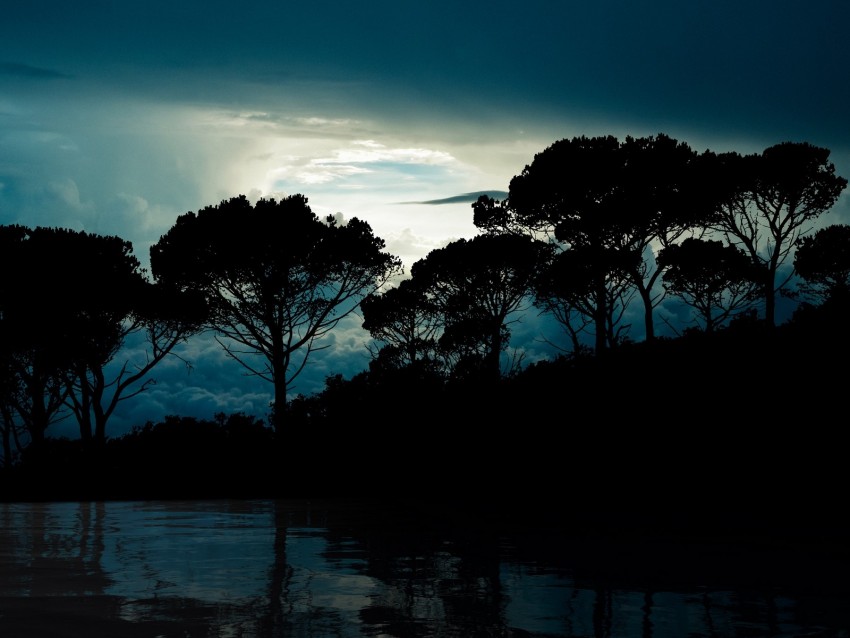 trees, clouds, night, reflection, landscape