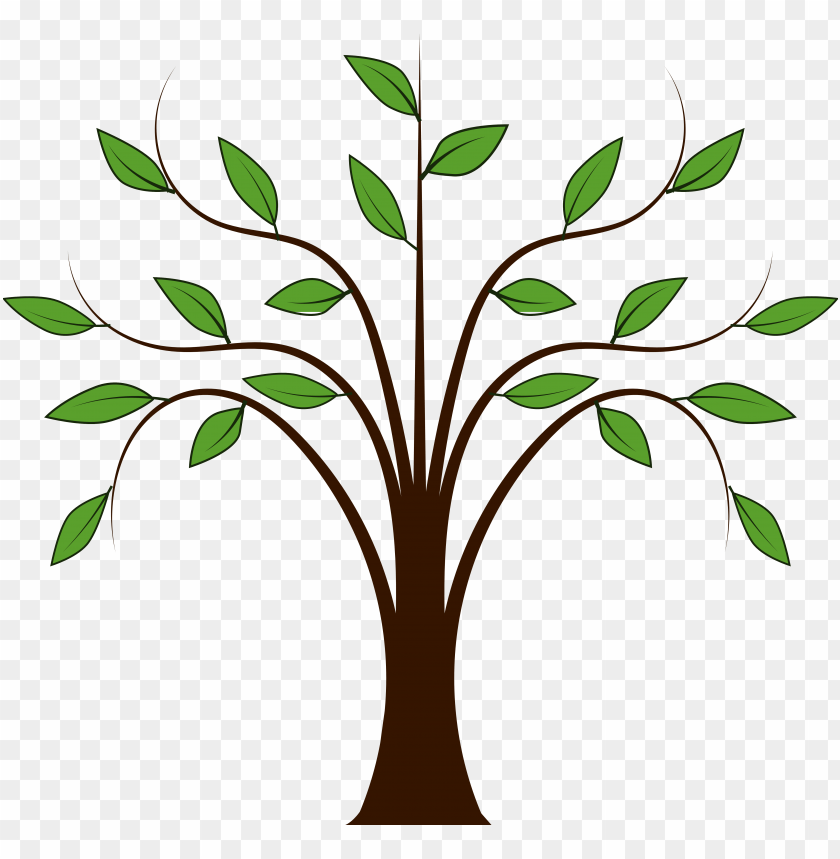 Branched tree without leaves, sketch. Engraved large growing oak. Nature  concept. Hand drawn vintage vector illustration Stock Vector | Adobe Stock