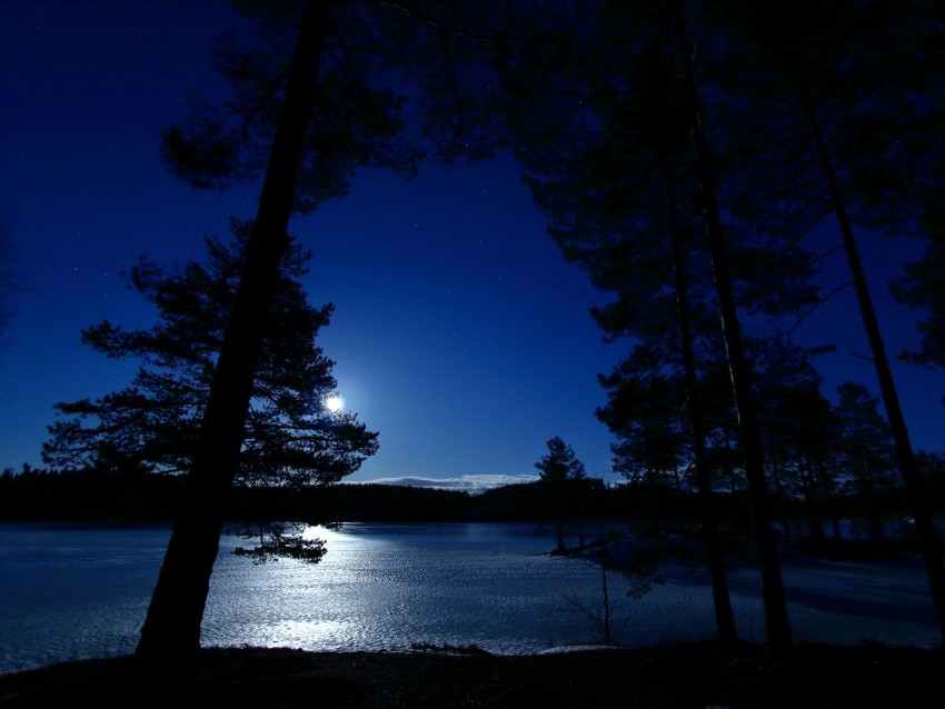 trees, night, lake, distance, sky, norway