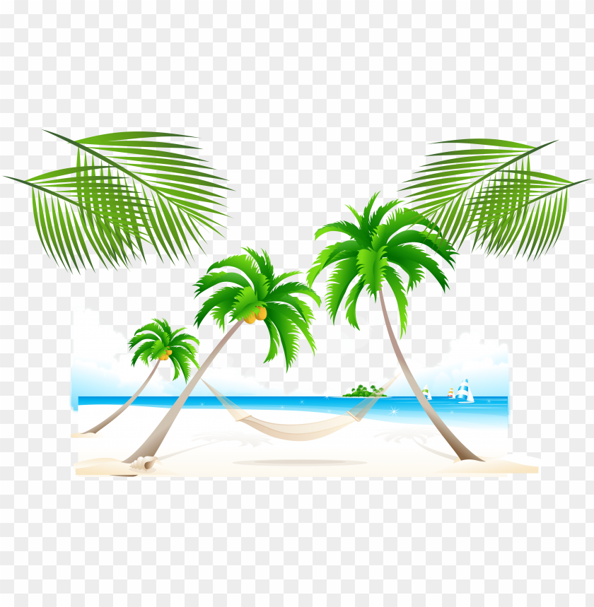 trees on the beach clipart PNG image with transparent background | TOPpng