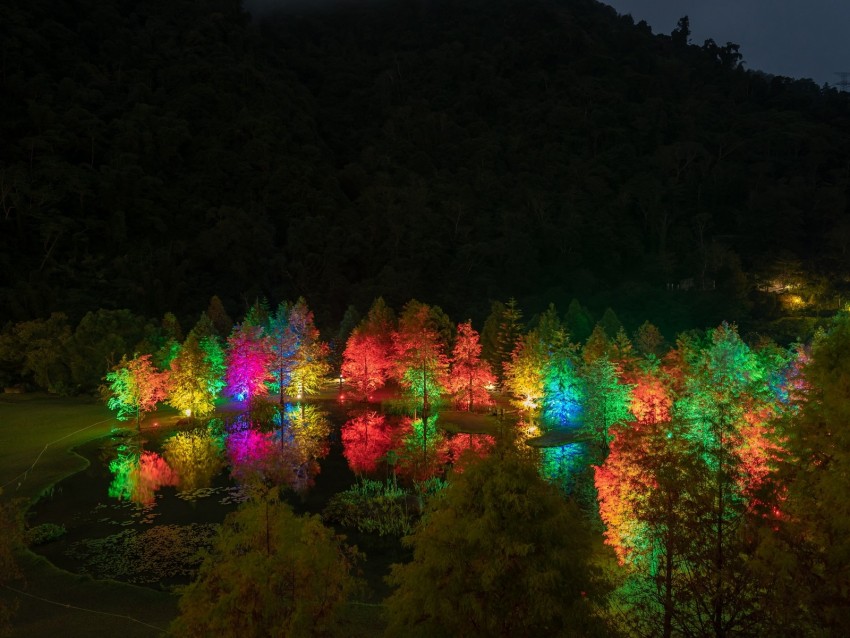 trees, pond, illumination, backlight, colorful, night