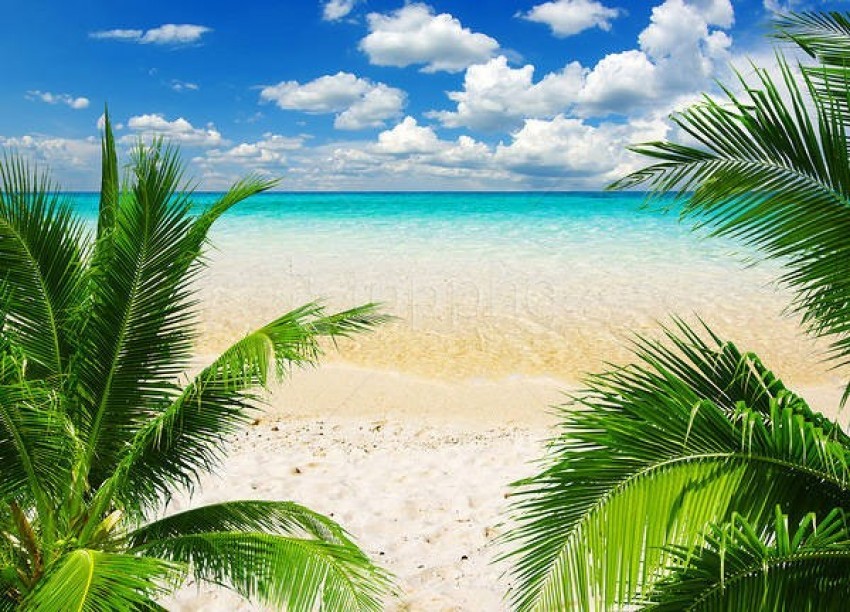 Tropic Beach Background Best Stock Photos - Image ID 58373 | TOPpng
